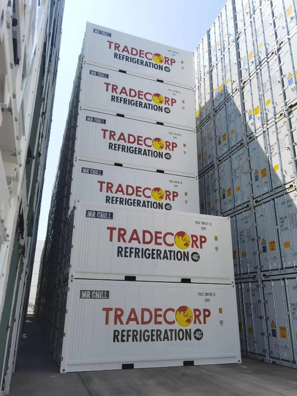 20′ Kühlcontainer – Thermo King Magnum+